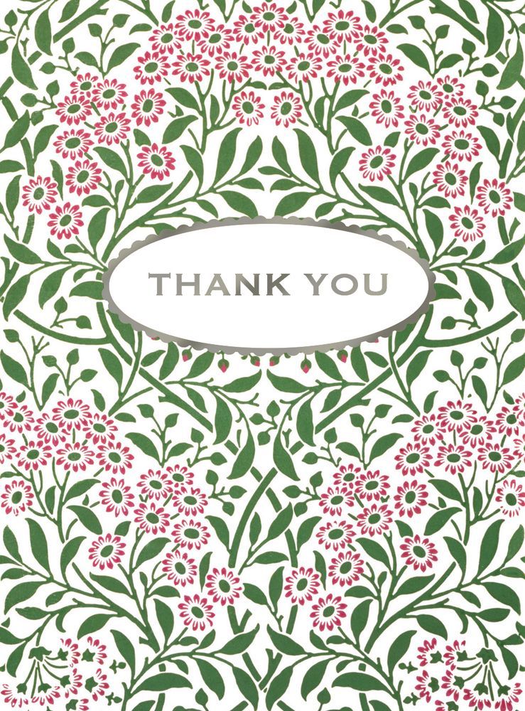 Michaelmas Daisy Small Card Pack