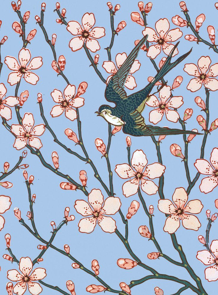 Almond Blossom & Swallow Card Pack