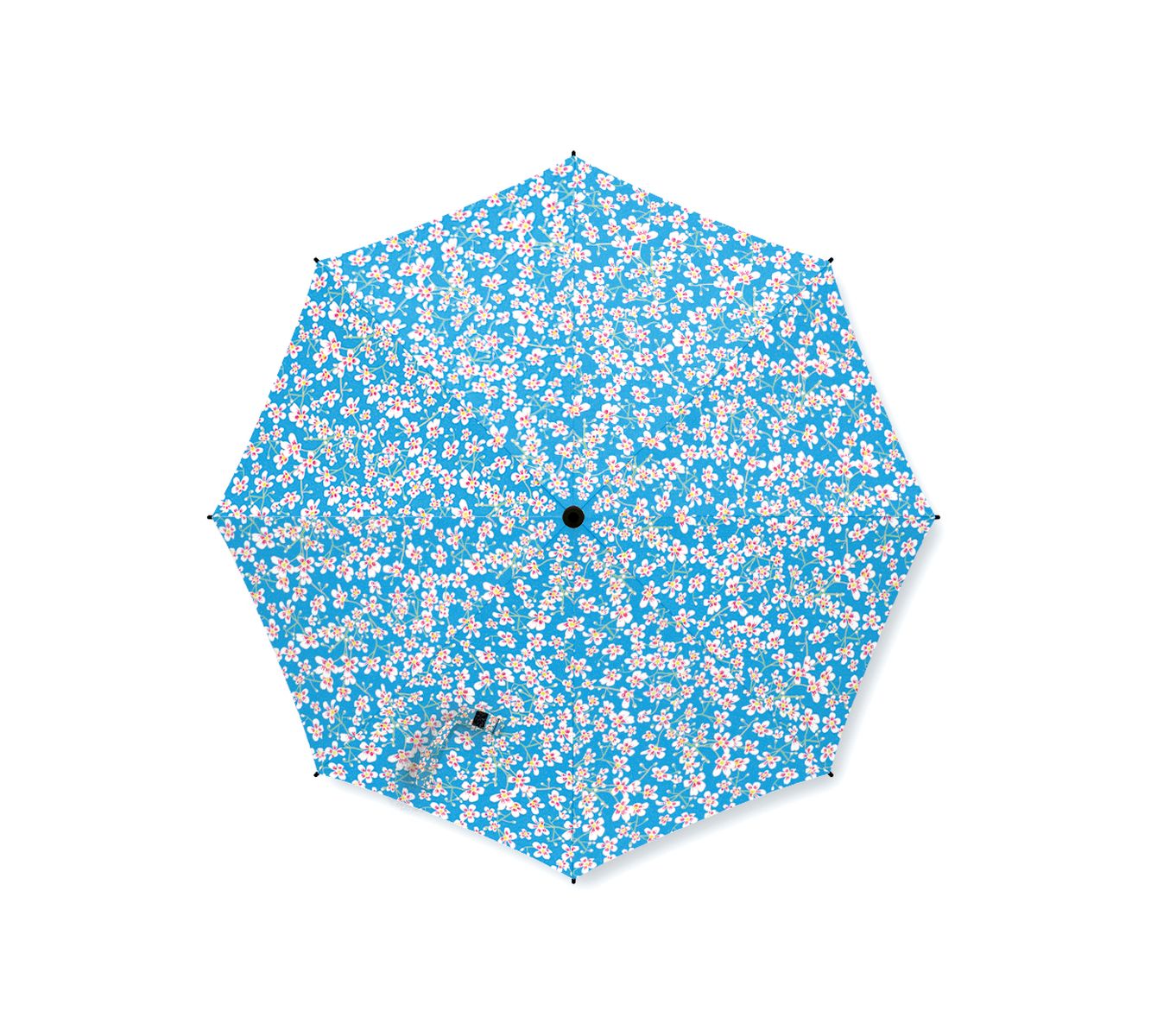 Saxifrage Umbrella