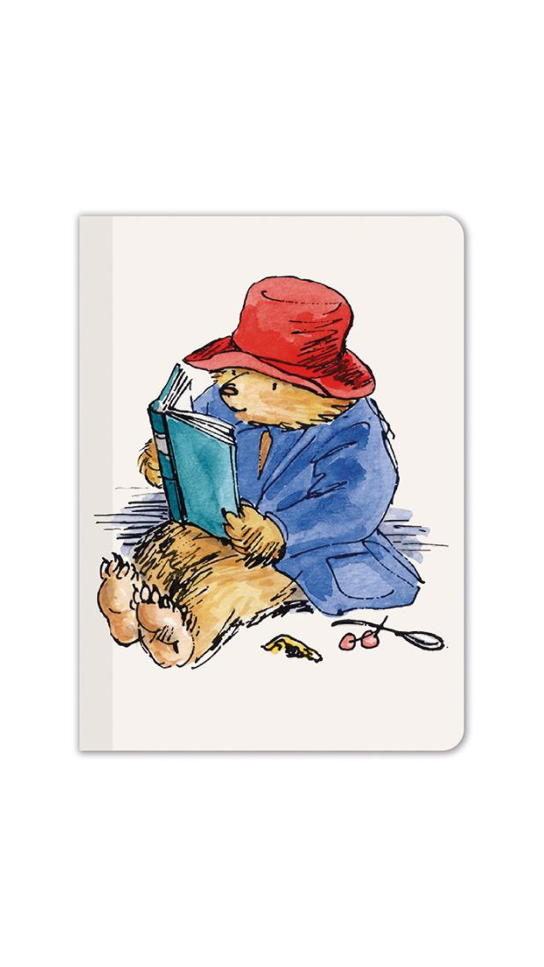 Paddington Reading Mini Journal