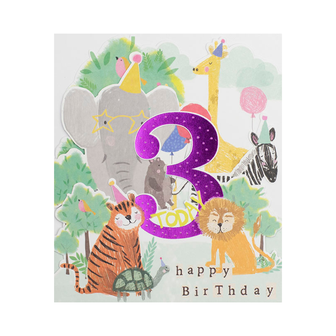 Birthday Age 3