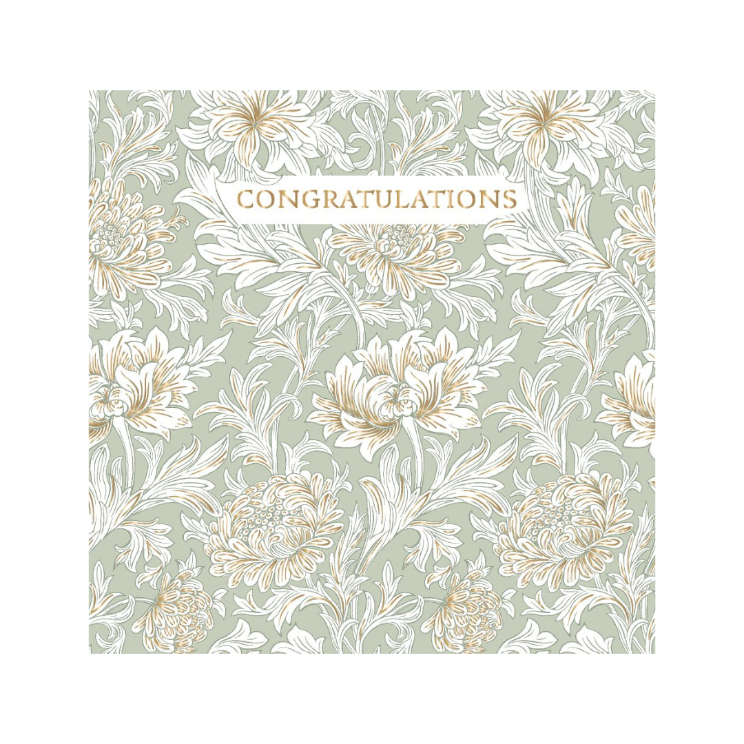 Congratulations Chrysanthemum