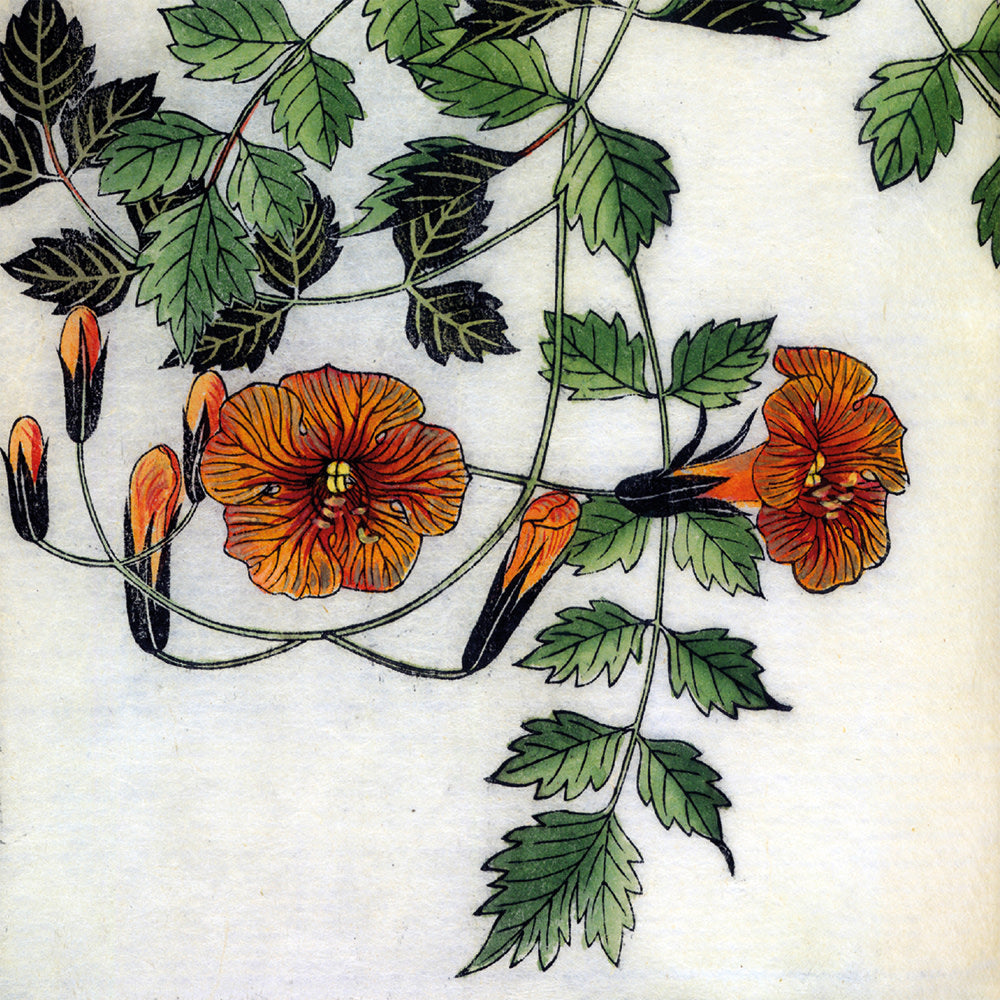 Botanical Prints Boxed Notecards