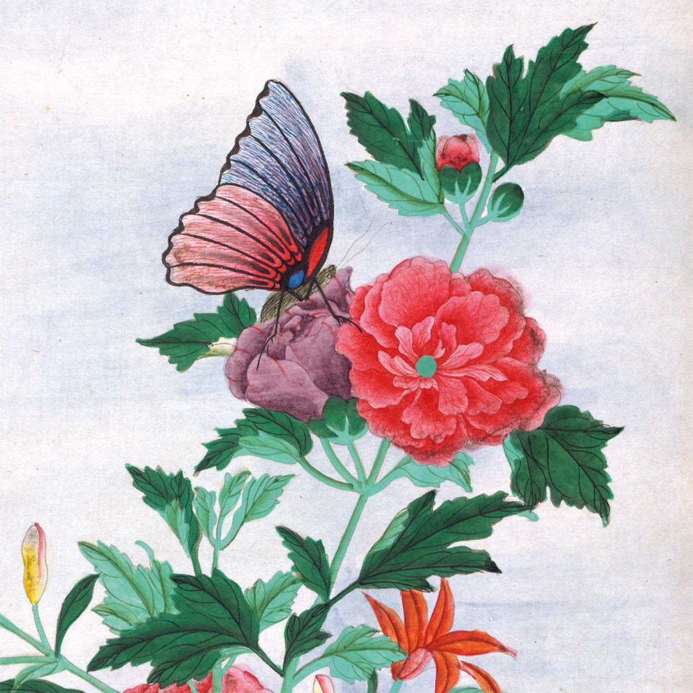 Botanical Prints Boxed Notecards