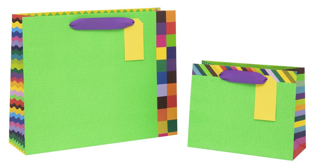 Colour Hub Green Carrier Gift Bag