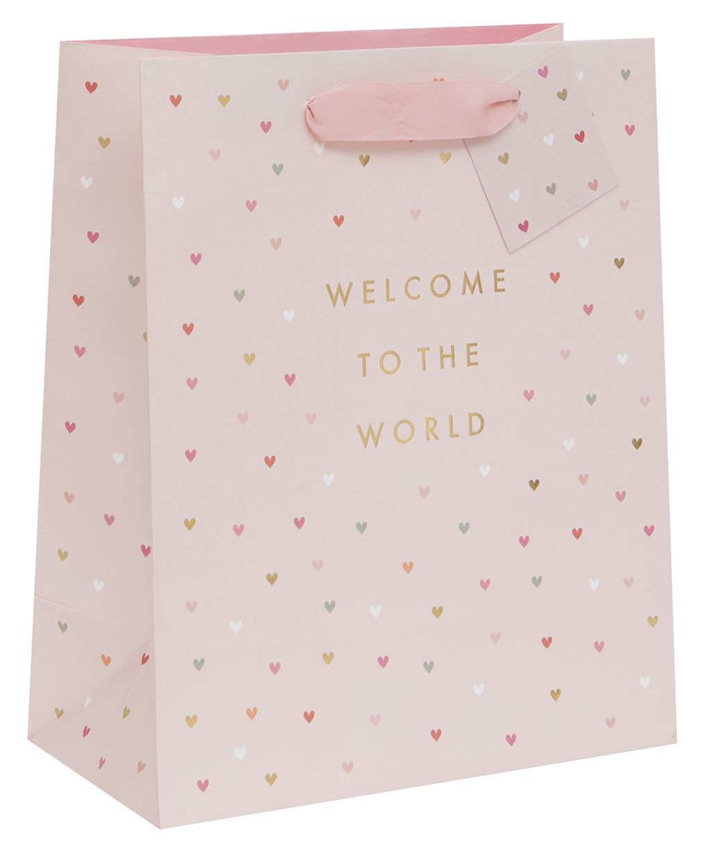 Large Gift Bag Welcome to the World Pink with Gift Tag