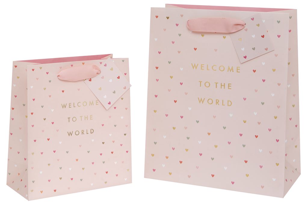 Large Gift Bag Welcome to the World Pink with Gift Tag