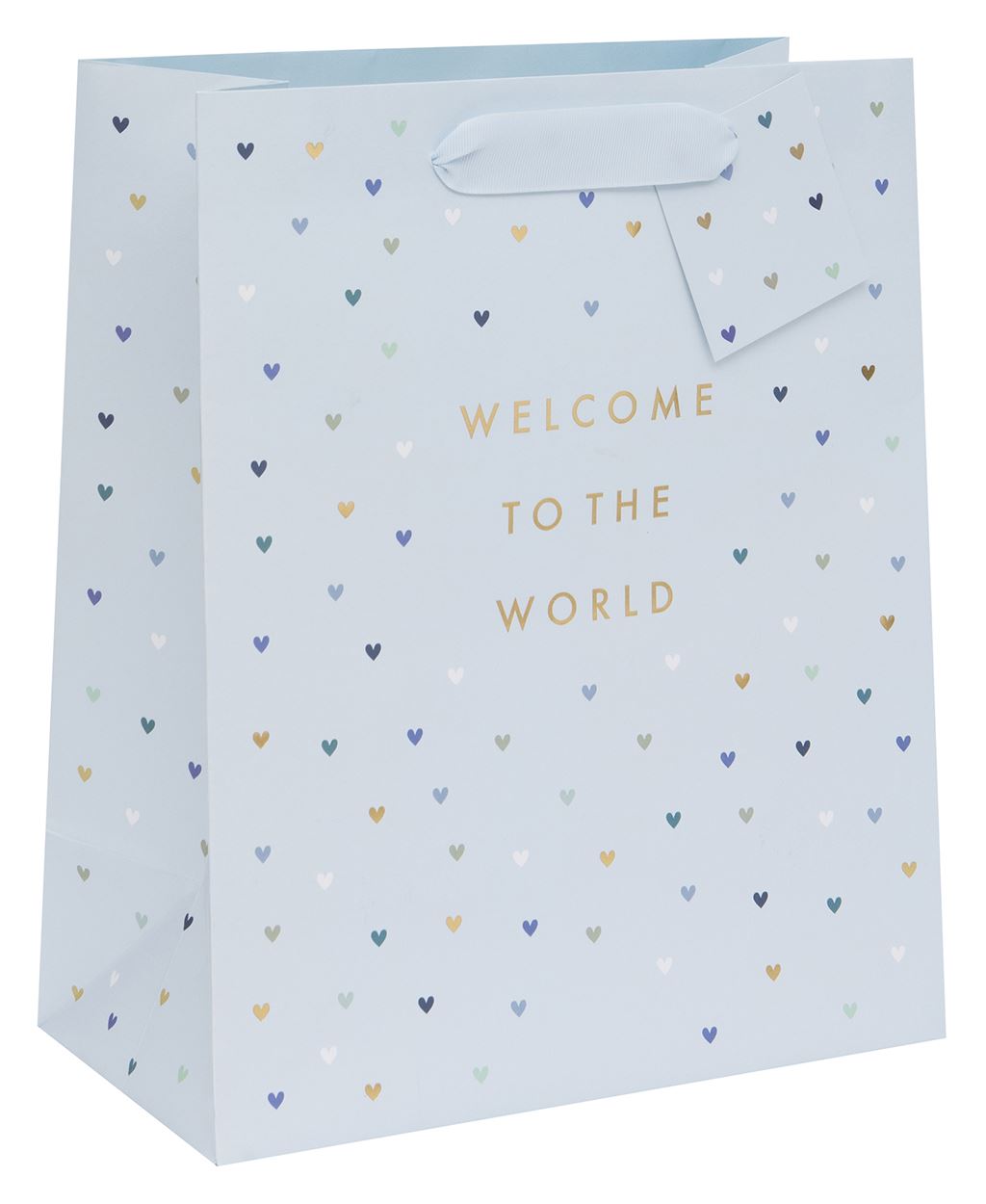 Large Gift Bag Welcome to the World Blue with Gift Tag