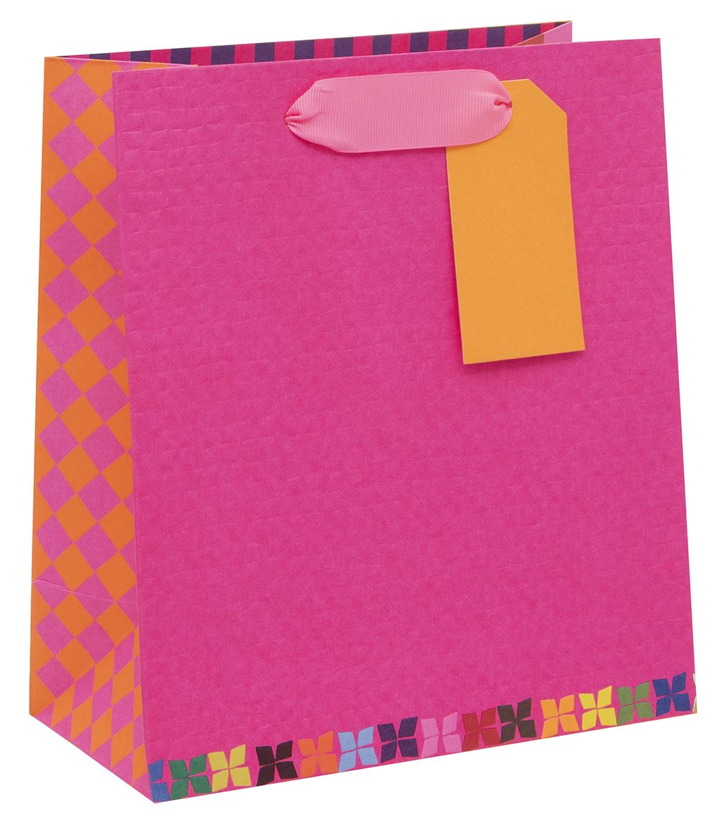 Medium Gift Bag Colour Hub Pink with Gift Tag
