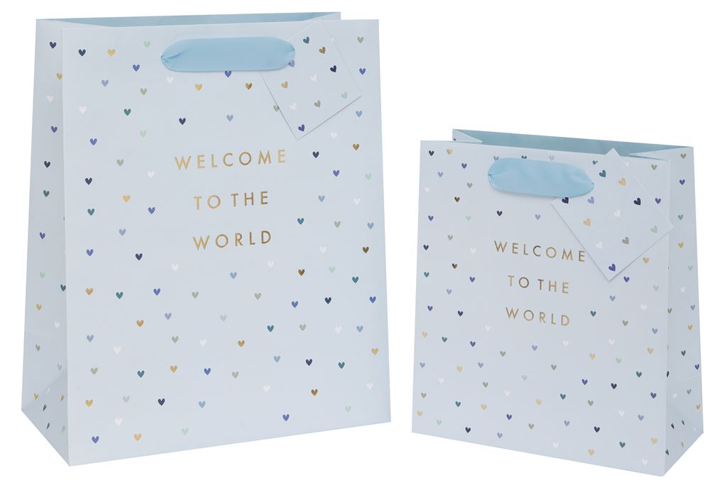 Medium Gift Bag Welcome to the World Blue with Gift Tag