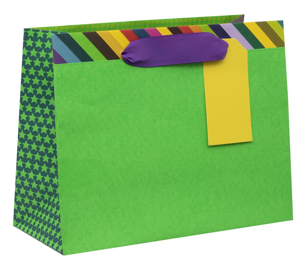 Medium landscape Gift Bag Colour Hub Green with Gift Tag