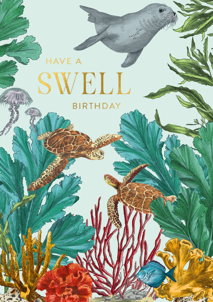 Habitana Swell Birthday
