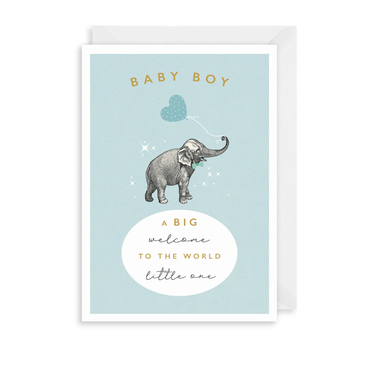 Baby Boy Elephant