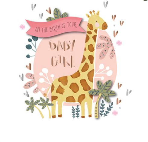 On the Birth or your Baby Girl
