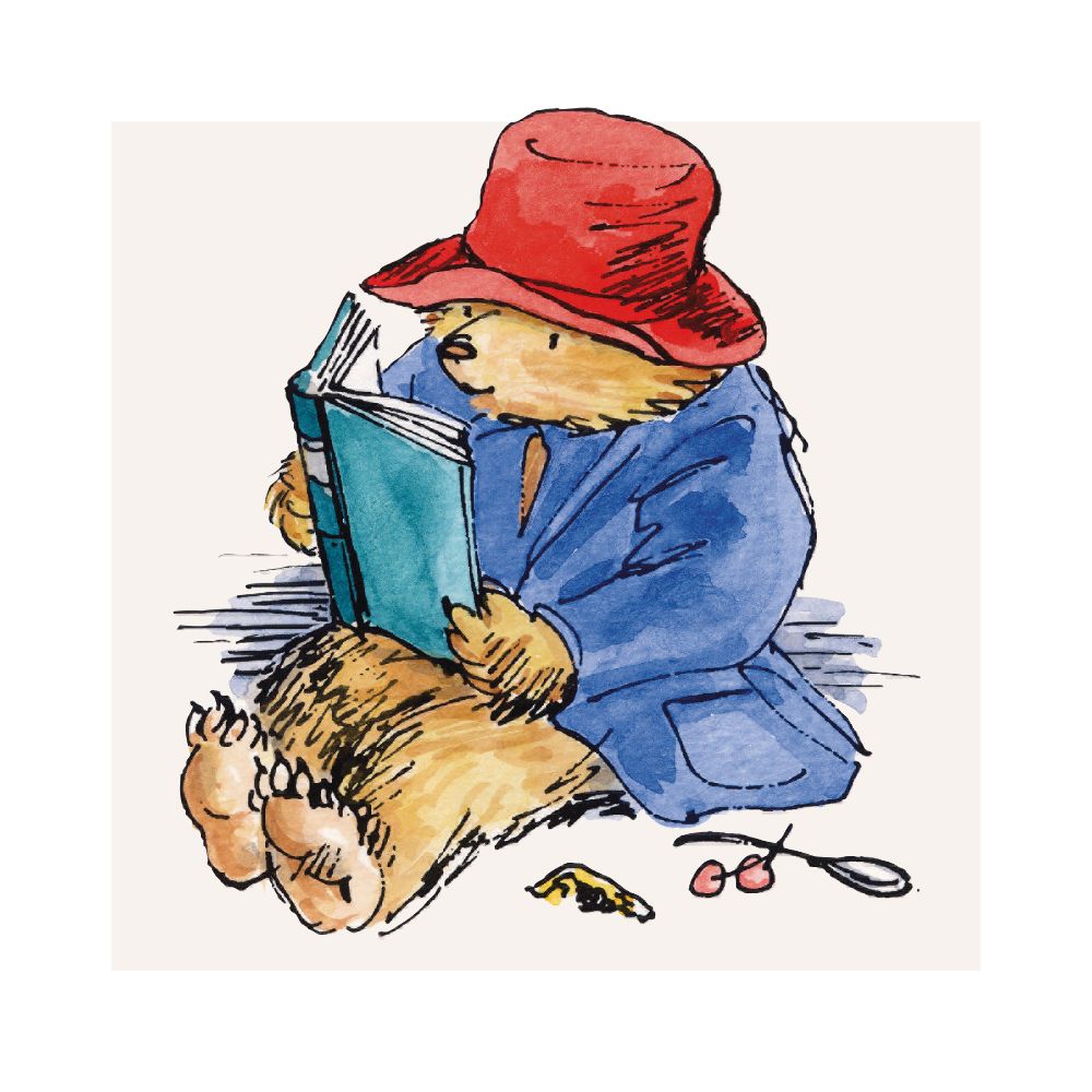 Paddington Boxed Cards