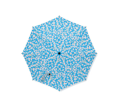 Saxifrage Umbrella