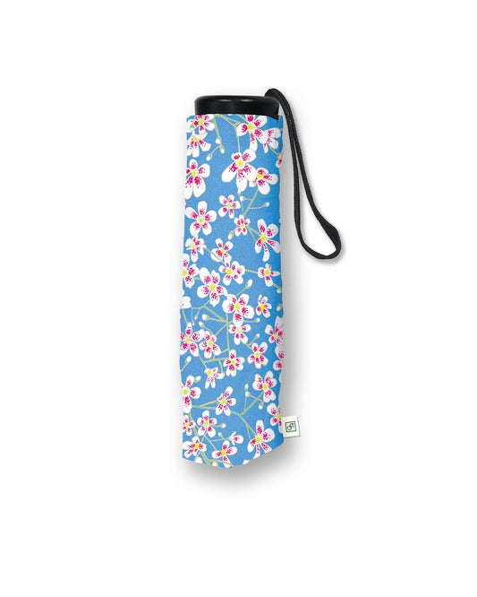 Saxifrage Umbrella