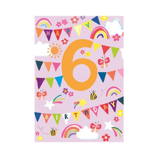 Birthday Age 6