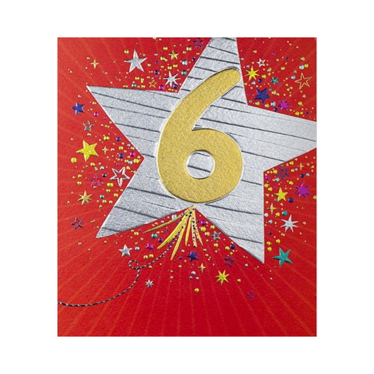 Birthday Age 6