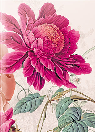 The Botanist A6 Set of 3 Notebooks