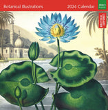 Botanical Illustrations 2024 Wall Calendar