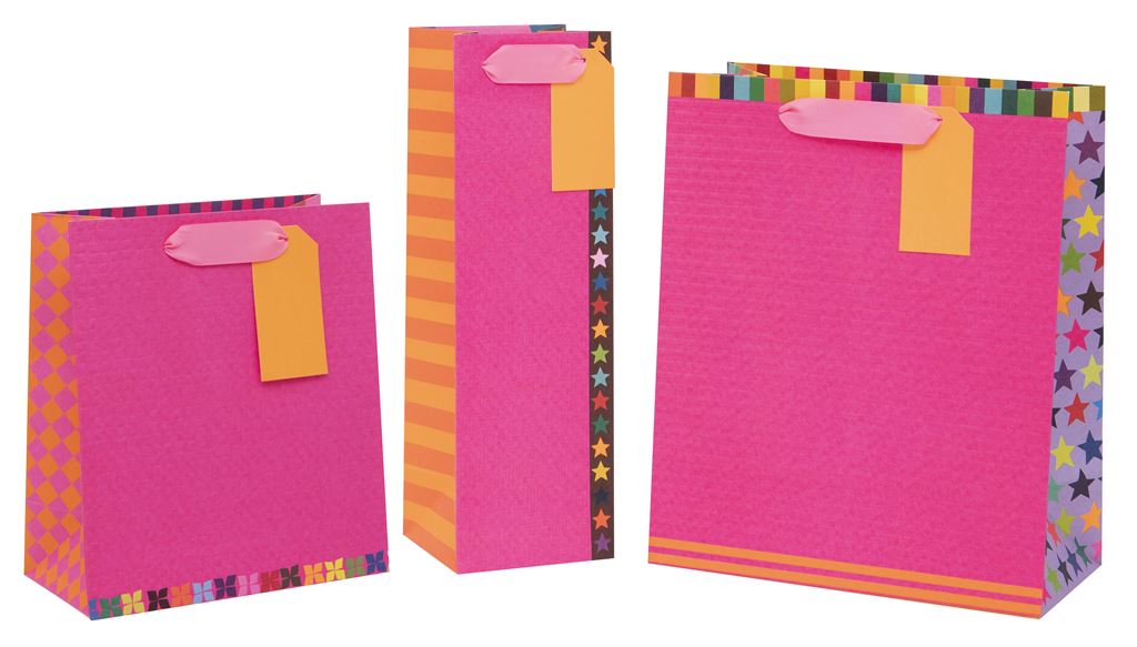 Colour Hub Pink Bottle Gift Bag