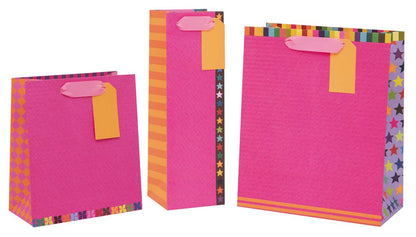 Colour Hub Pink Bottle Gift Bag