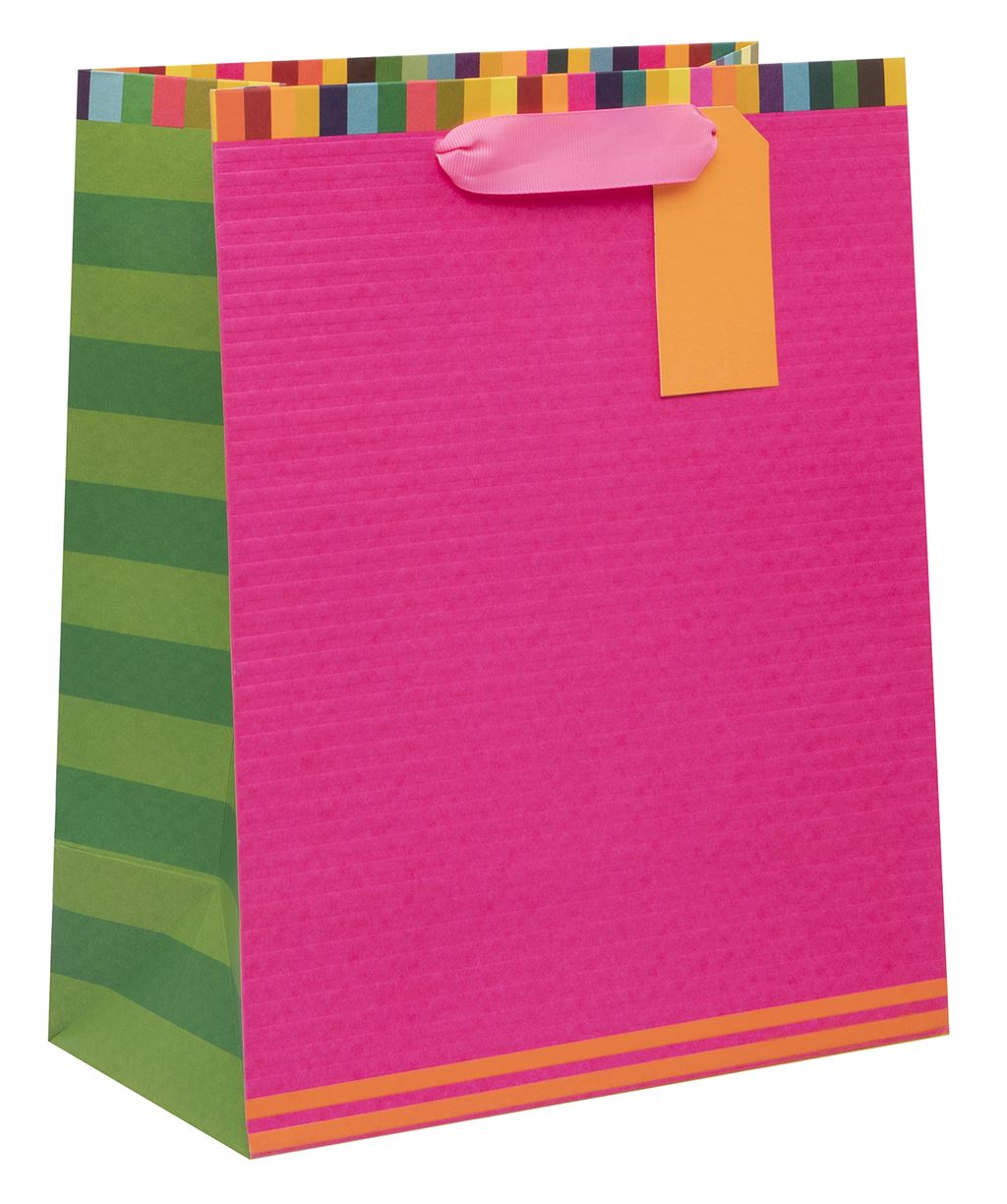 Large Gift Bag Colour Hub Pink with Gift Tag