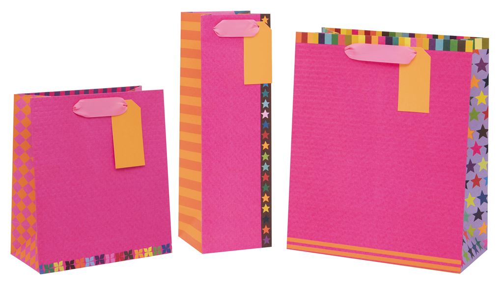 Colour Hub Pink Large Gift Bag