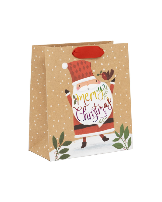 Bag Medium Rainbow Claus