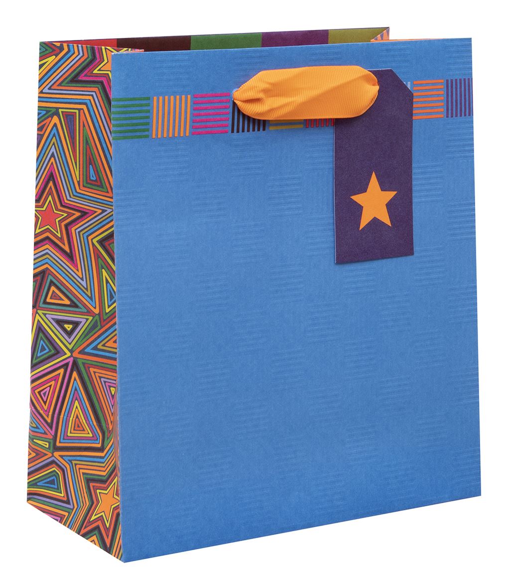 Colour Hub Blue Medium Gift Bag