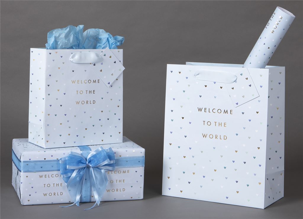 Welcome to the World Gift Bag Medium Blue