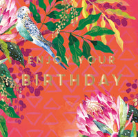 Birthday Budgie with Protea