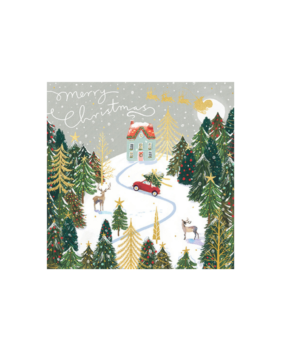 Driving Home For Christmas Charity Card Pack