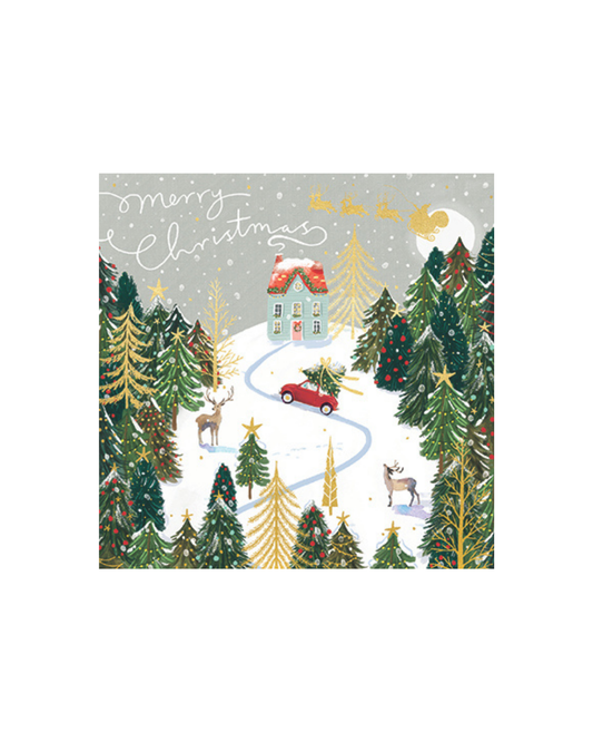 Driving Home For Christmas Charity Card Pack