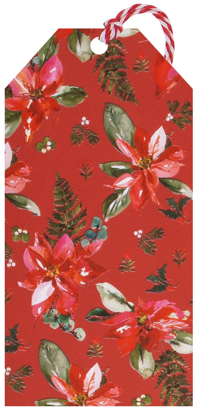 Multipack Tag (6) Poinsettia Red