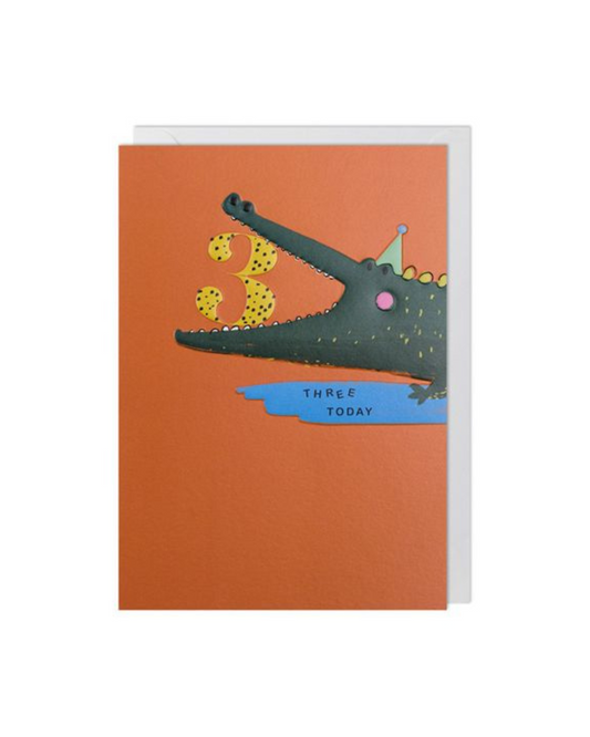 Age 3 Crocodile
