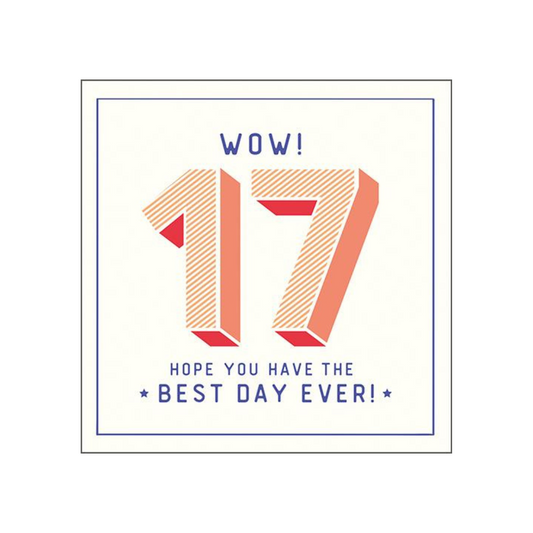 Age 17 Birthday