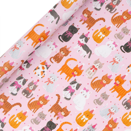 4m Purrfect Pussycats