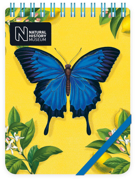 Ulysses Butterfly Reporter Notepad