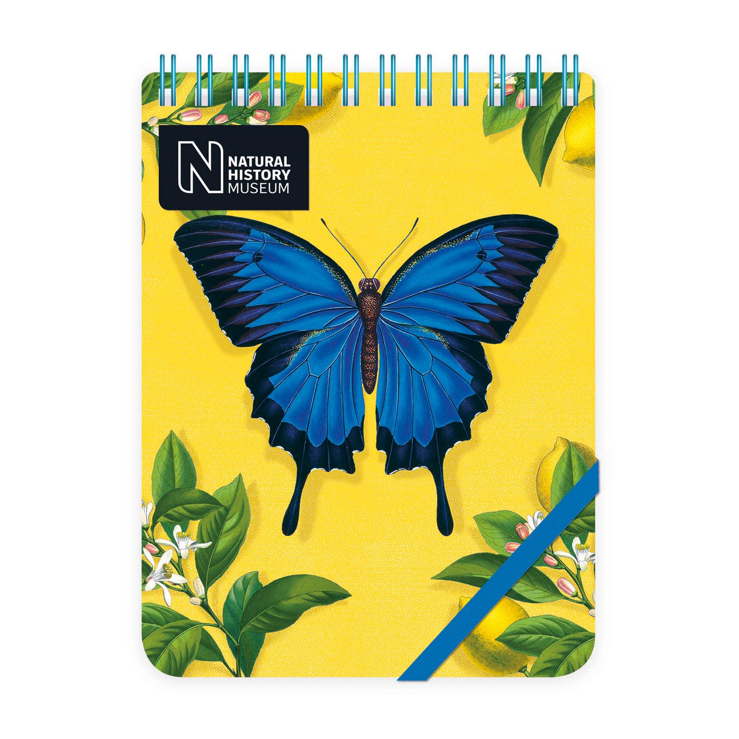 Ulysses Butterfly Reporter Notepad
