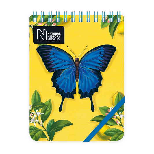 Ulysses Butterfly Reporter Notepad