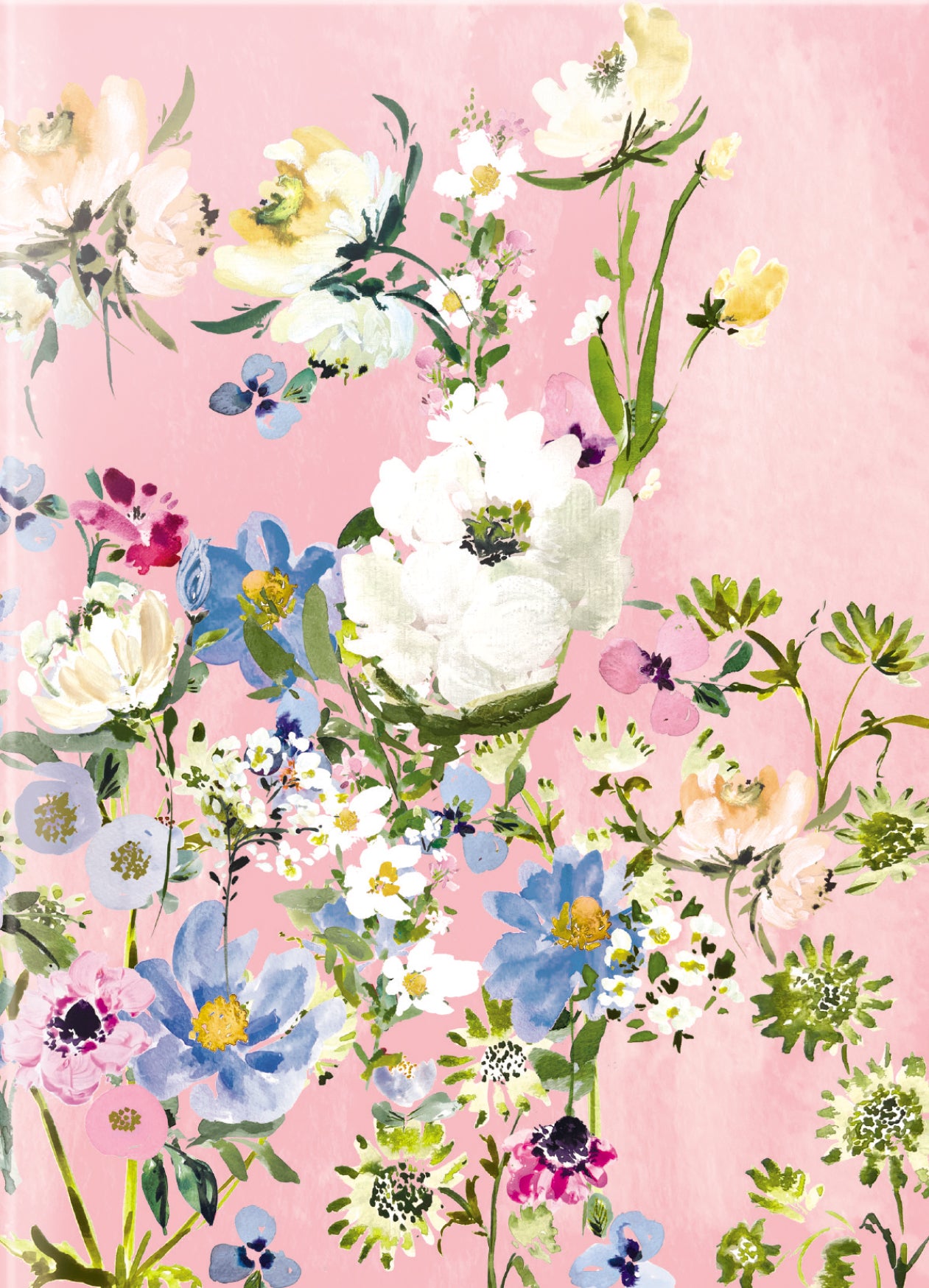 Stephanie Dyment Set A6 Notebooks