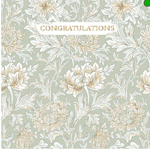 Congratulations Chrysanthemum