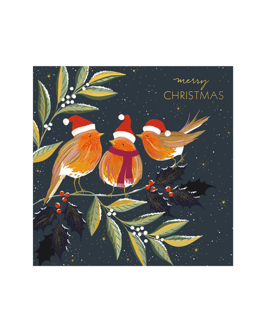 Robin Chorus Sara Miller Xmas Wallet 10 Pack