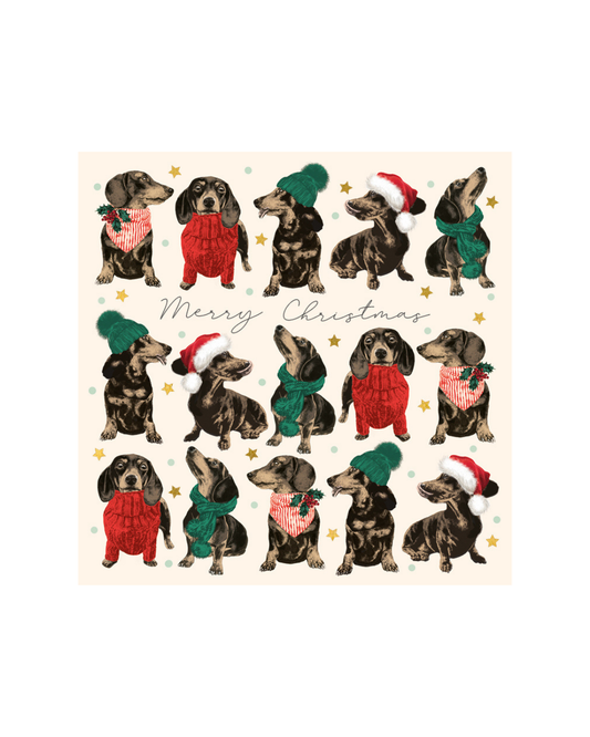 Festive Dachshund - Christmas Charity Cards