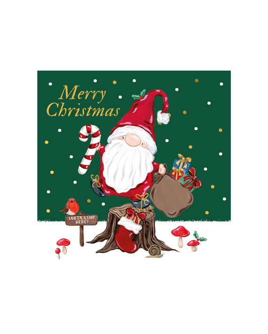 Christmas Gonk - Christmas Charity Cards
