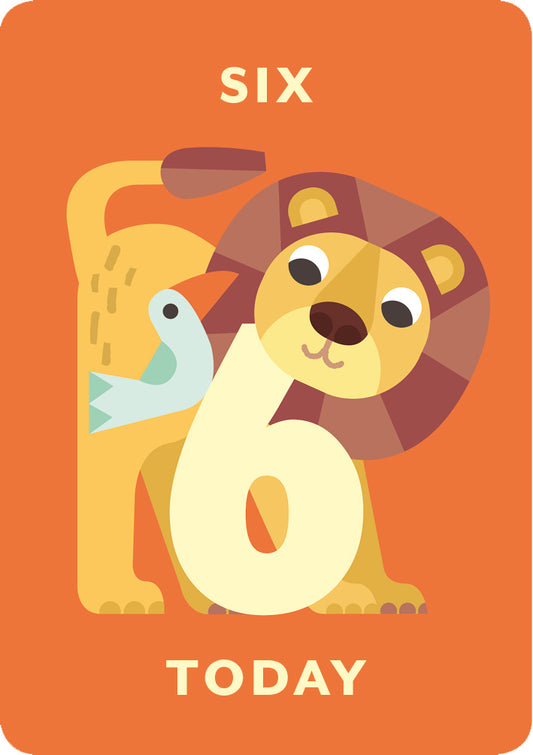 Zig Zag Zoo Age 6 Birthday Card