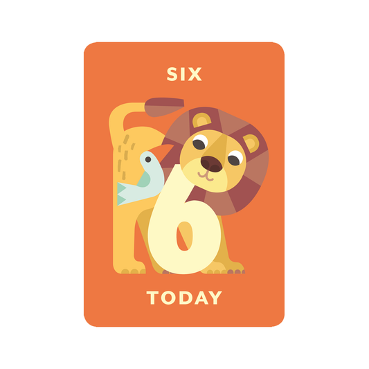 Zig Zag Zoo Age 6 Birthday Card