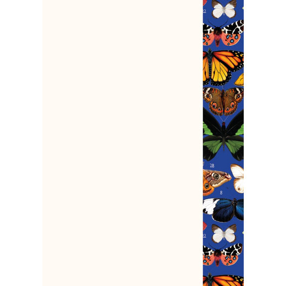 Butterflies Writing Set